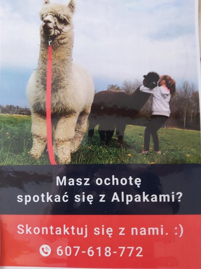 Apartamenty Smaczek Gołdap 外观 照片